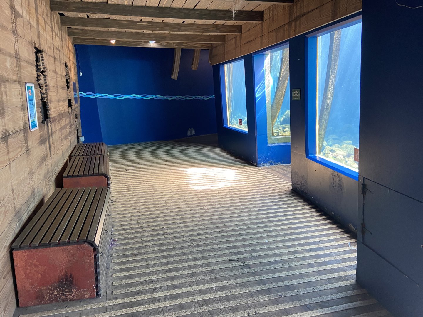 Bristol Zoo Seal and Penguin Coasts