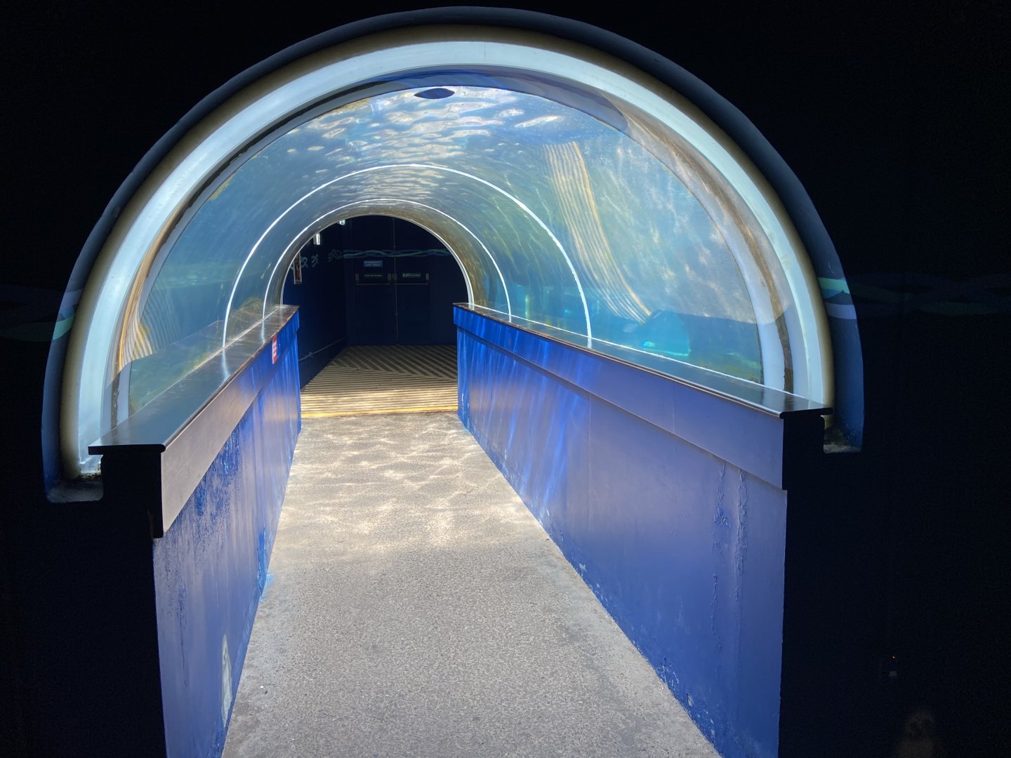 Bristol Zoo Seal and Penguin Coasts