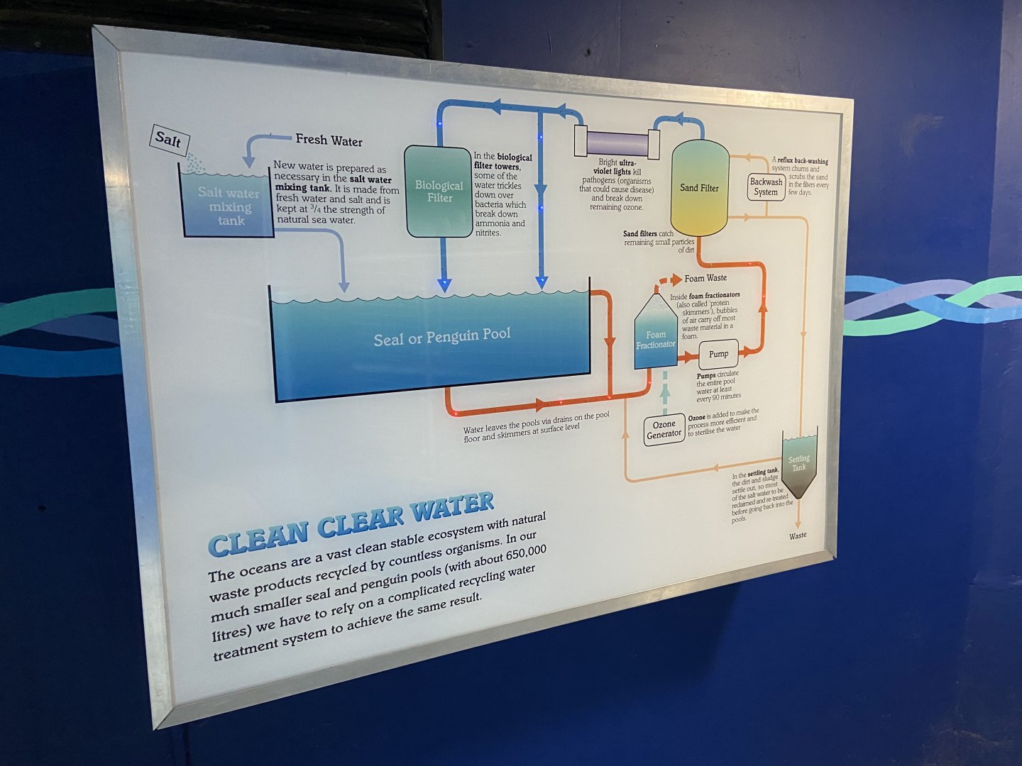Bristol Zoo Seal and Penguin Coasts