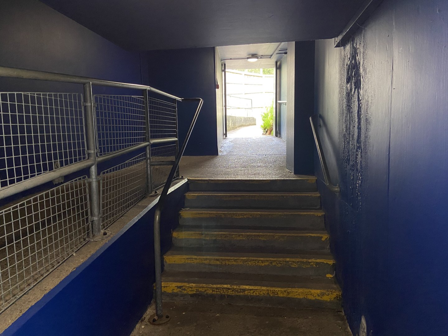 Bristol Zoo Seal and Penguin Coasts