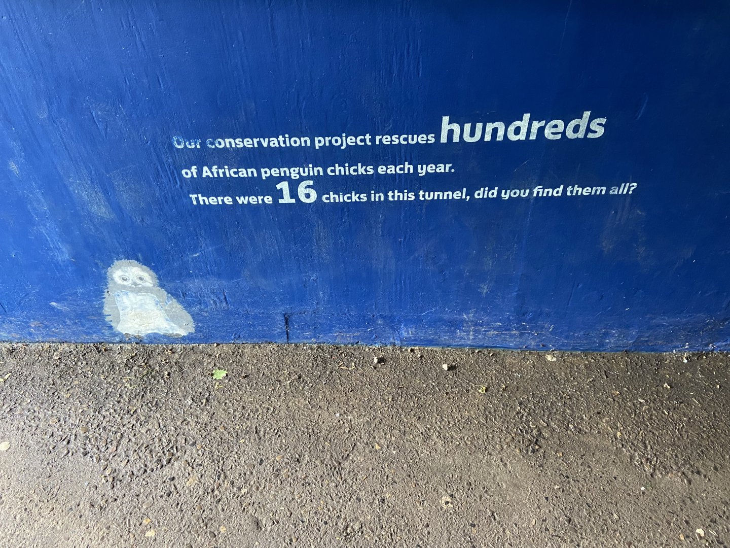 Bristol Zoo Seal and Penguin Coasts