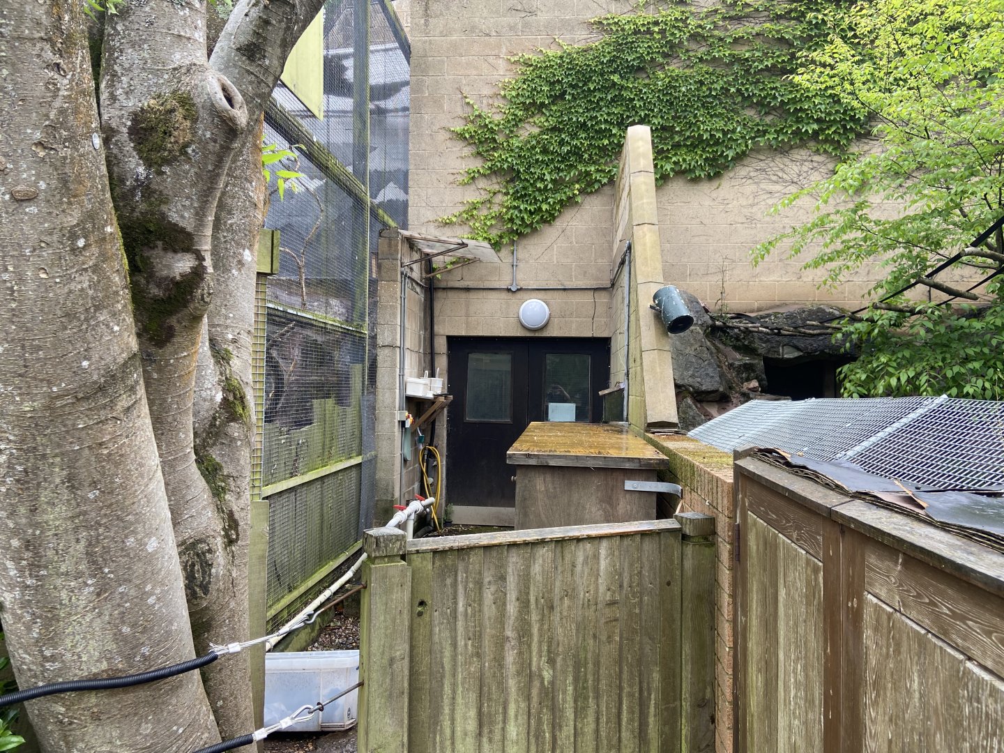 Bristol Zoo space between kea and red panda