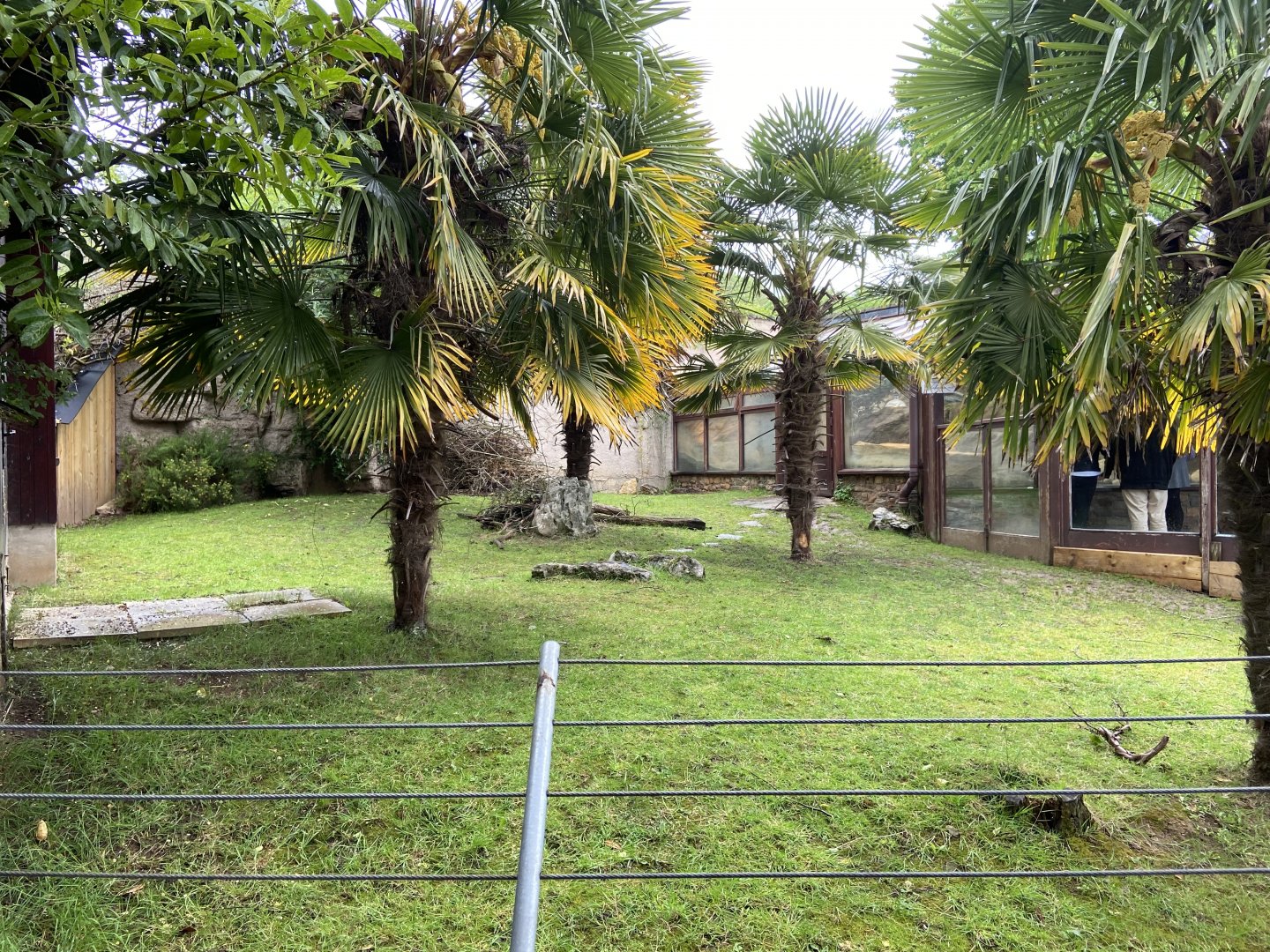 Bristol Zoo tortoise enclosure
