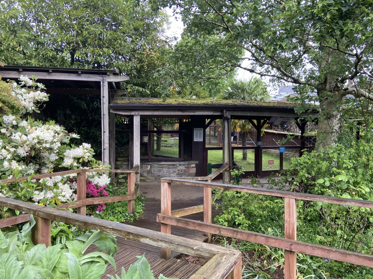 Bristol Zoo tortoise enclosure