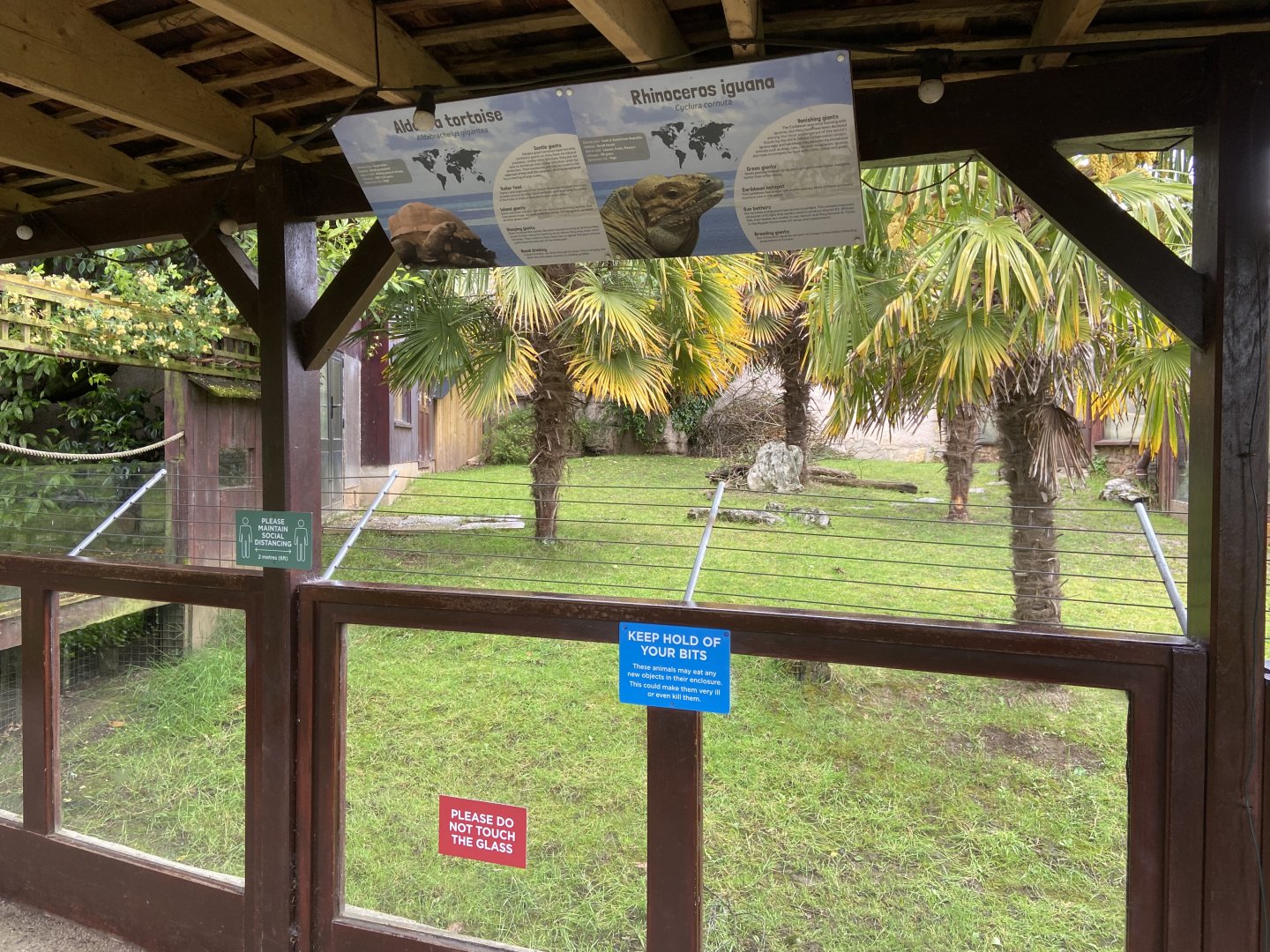 Bristol Zoo tortoise enclosure