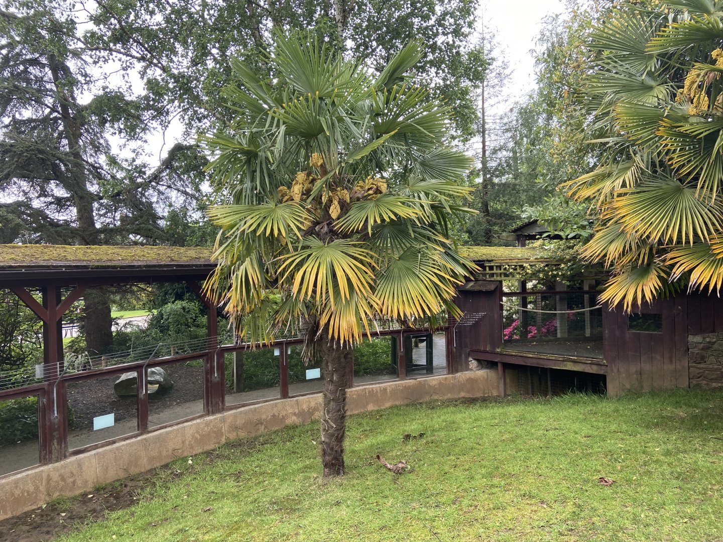 Bristol Zoo tortoise enclosure