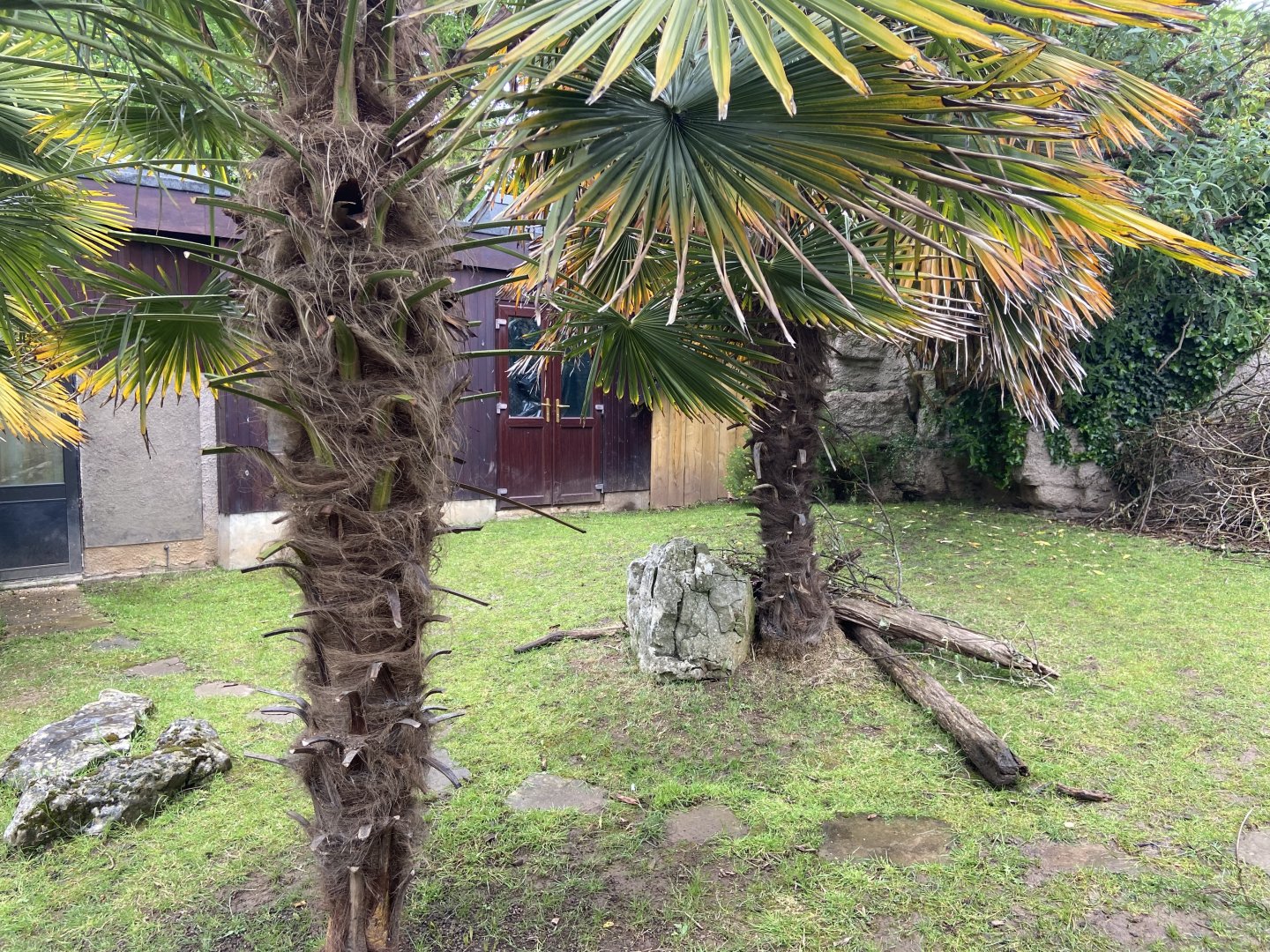 Bristol Zoo tortoise enclosure