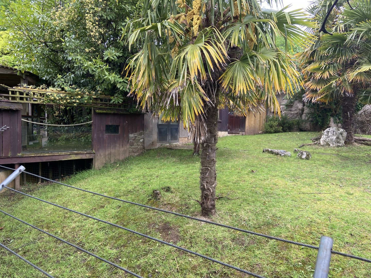 Bristol Zoo tortoise enclosure
