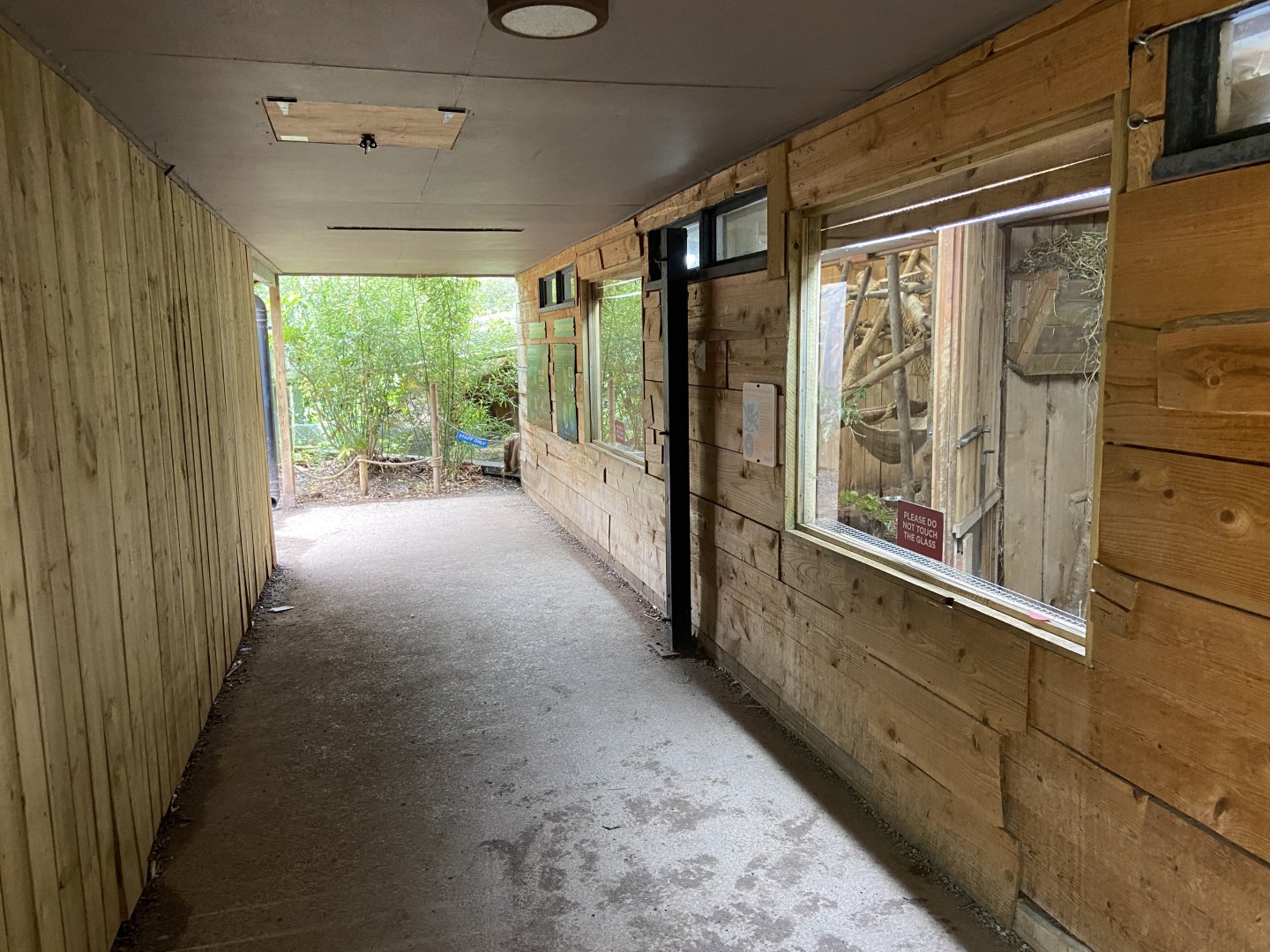 Bristol Zoo Tree Kangaroos of Papua New Guinea