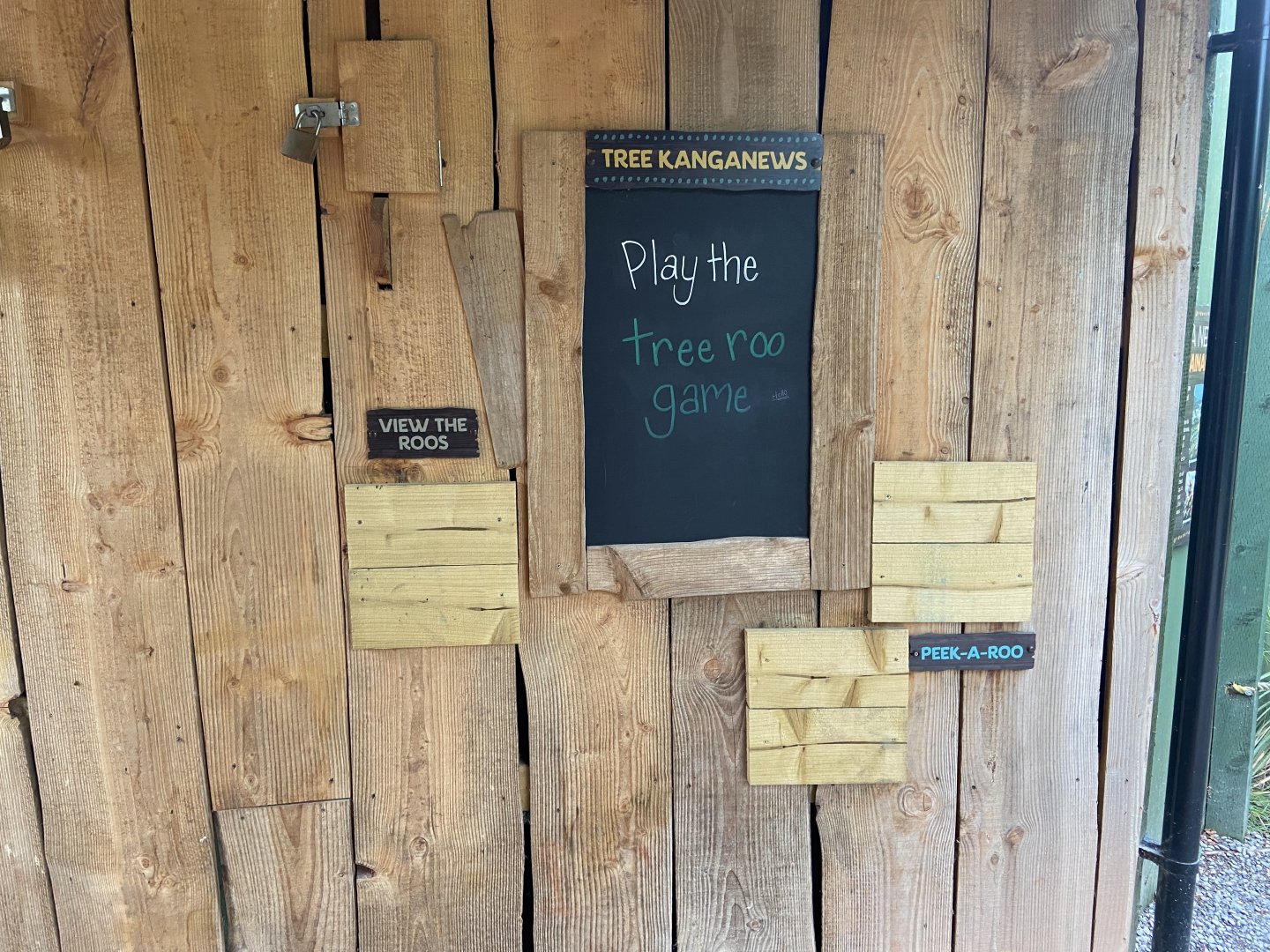 Bristol Zoo Tree Kangaroos of Papua New Guinea