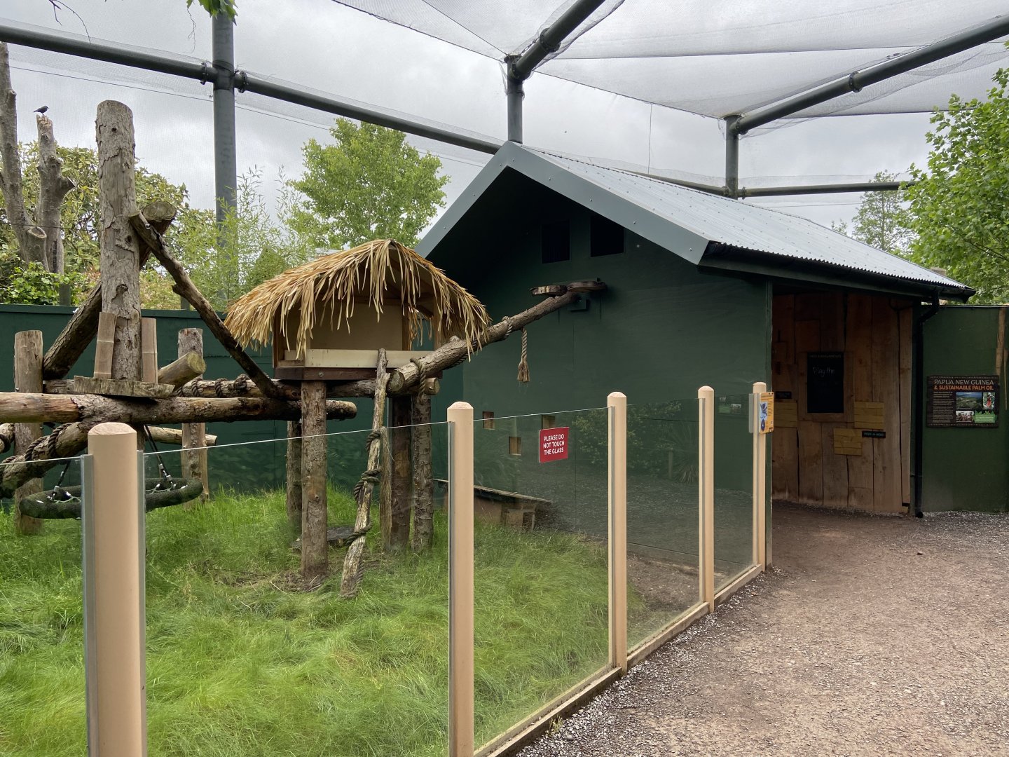 Bristol Zoo Tree Kangaroos of Papua New Guinea