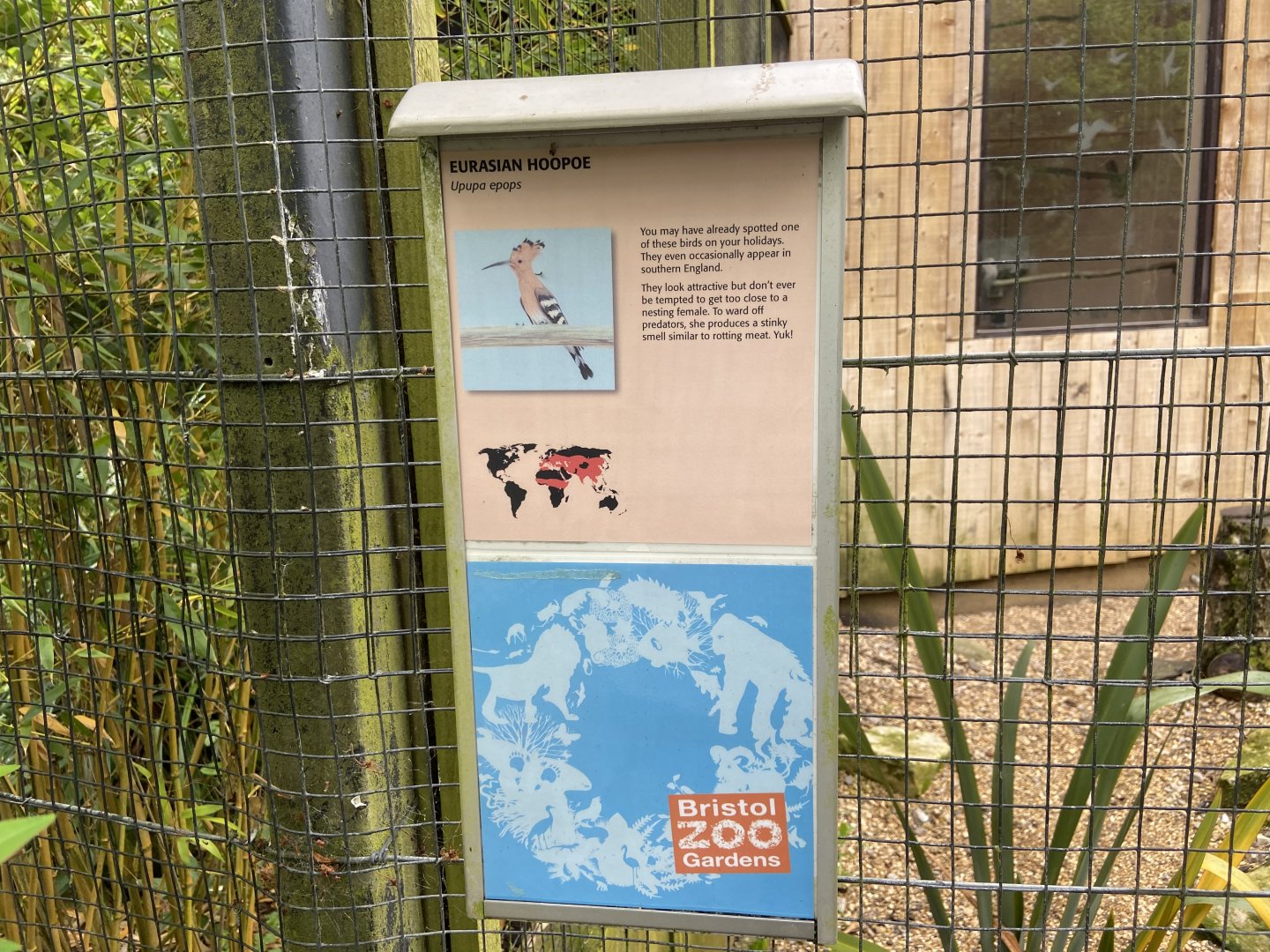 Bristol Zoo