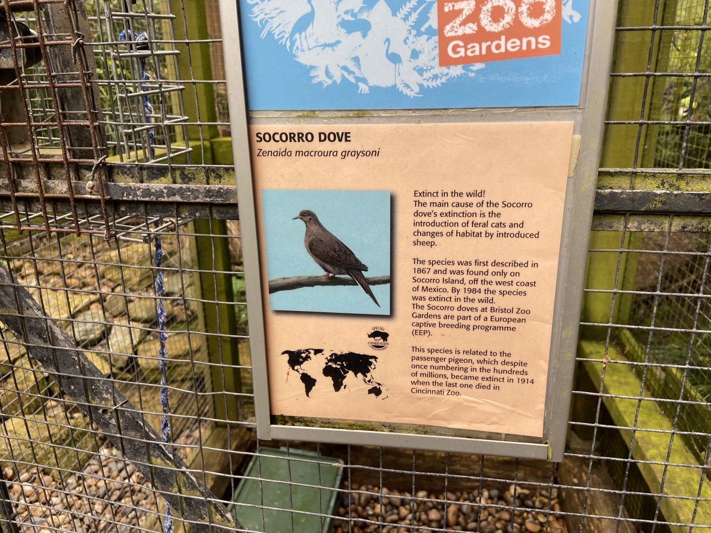 Bristol Zoo