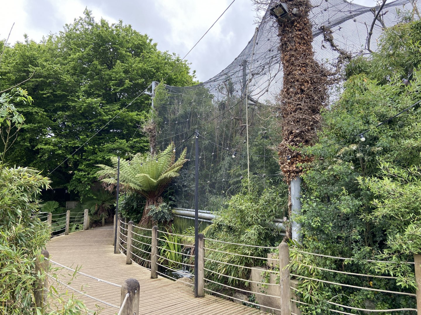 Bristol Zoo