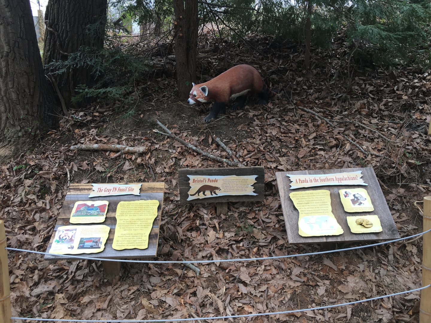 Bristol's Panda interpretation area