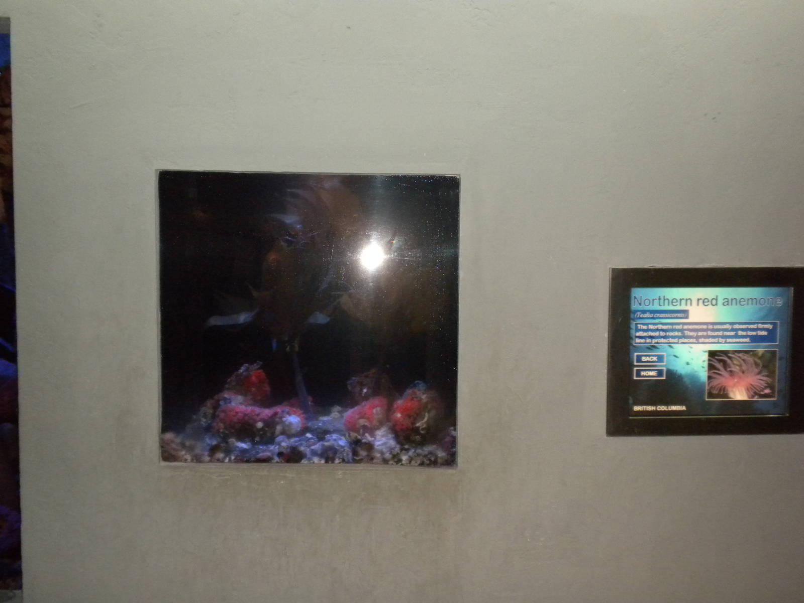 British Columbia microexhibit