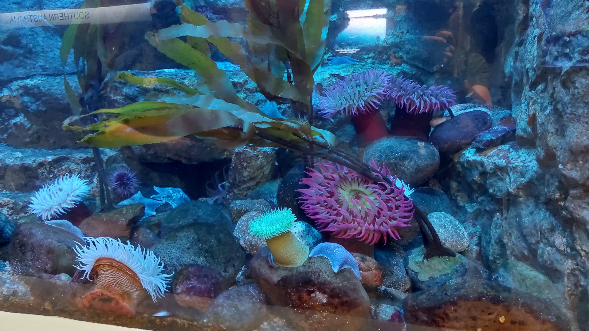 British Columbia Tank