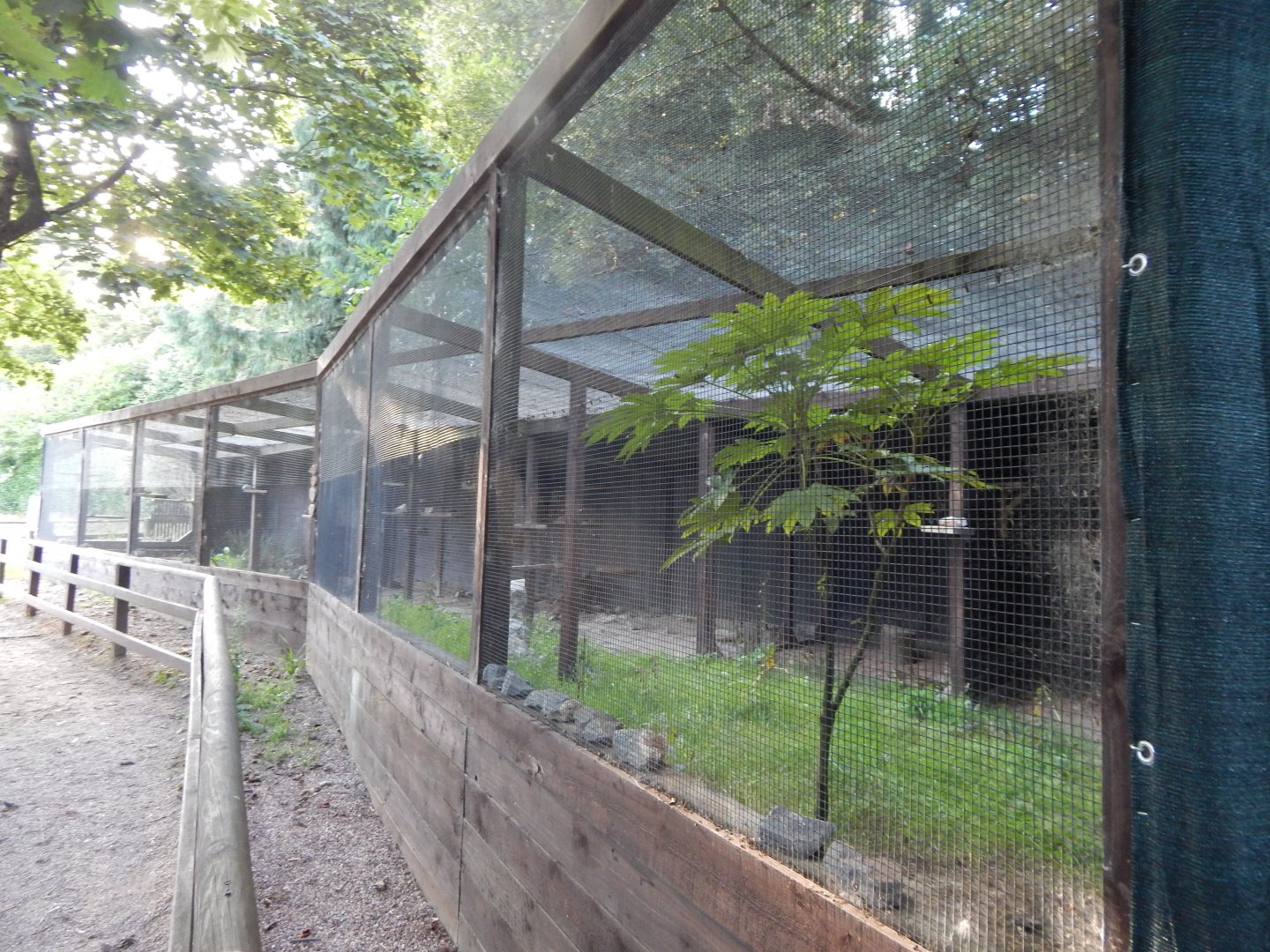 British red-billed chough aviary 020825