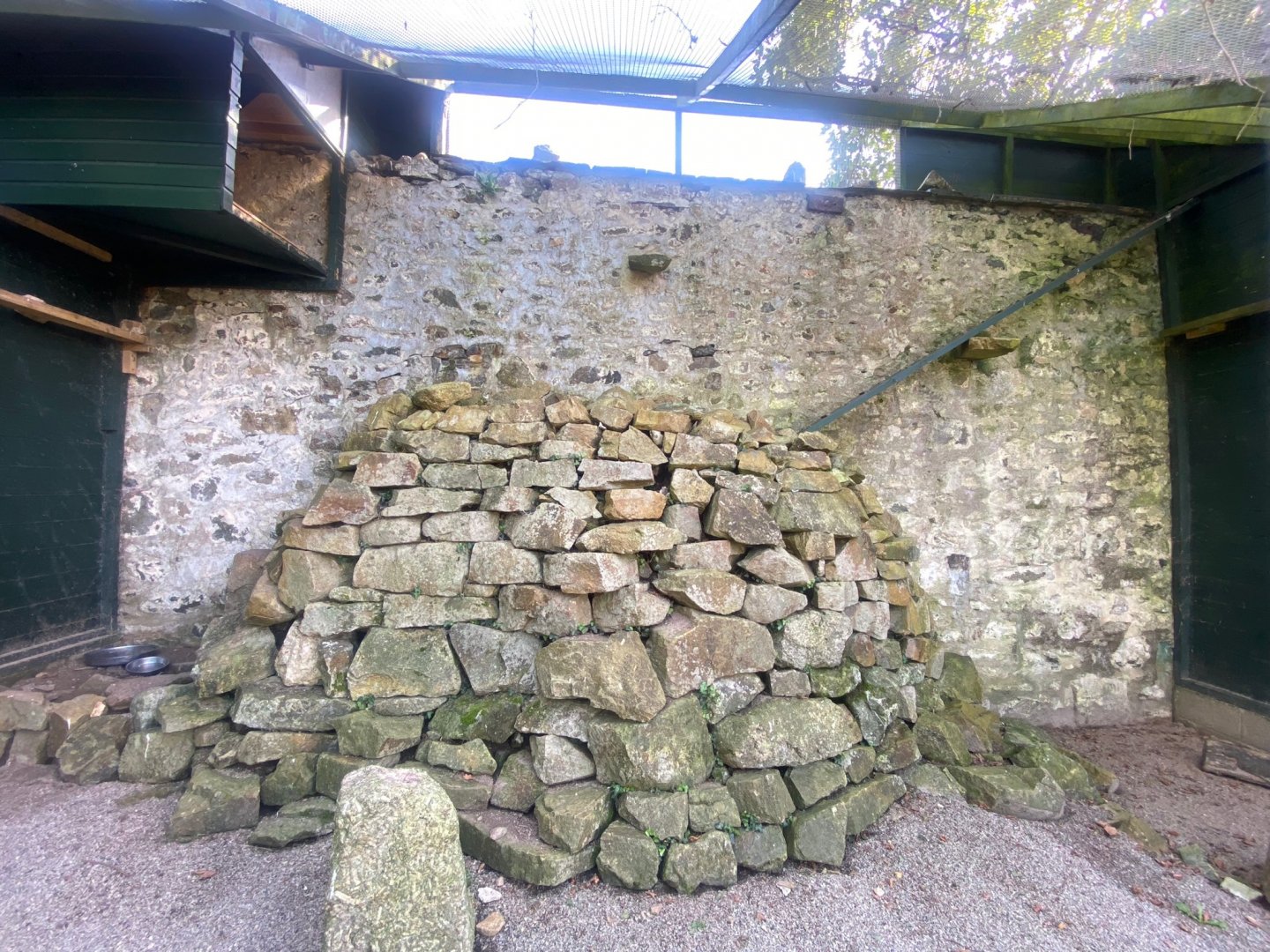 British red-billed chough aviary 081023