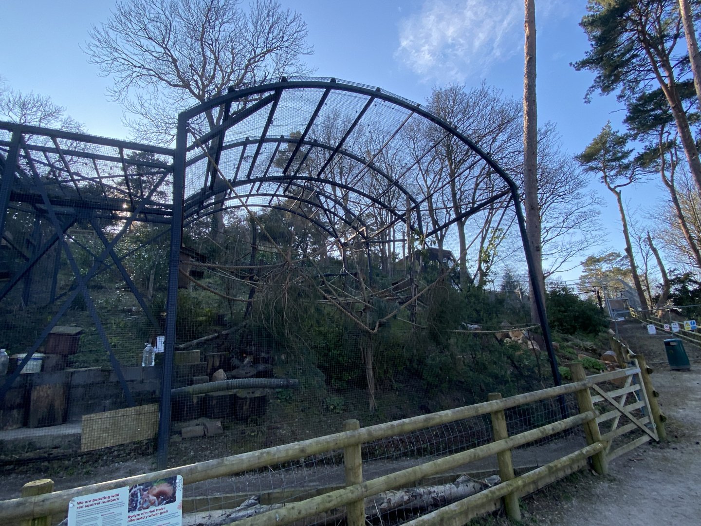 British red squirrel enclosure 190325
