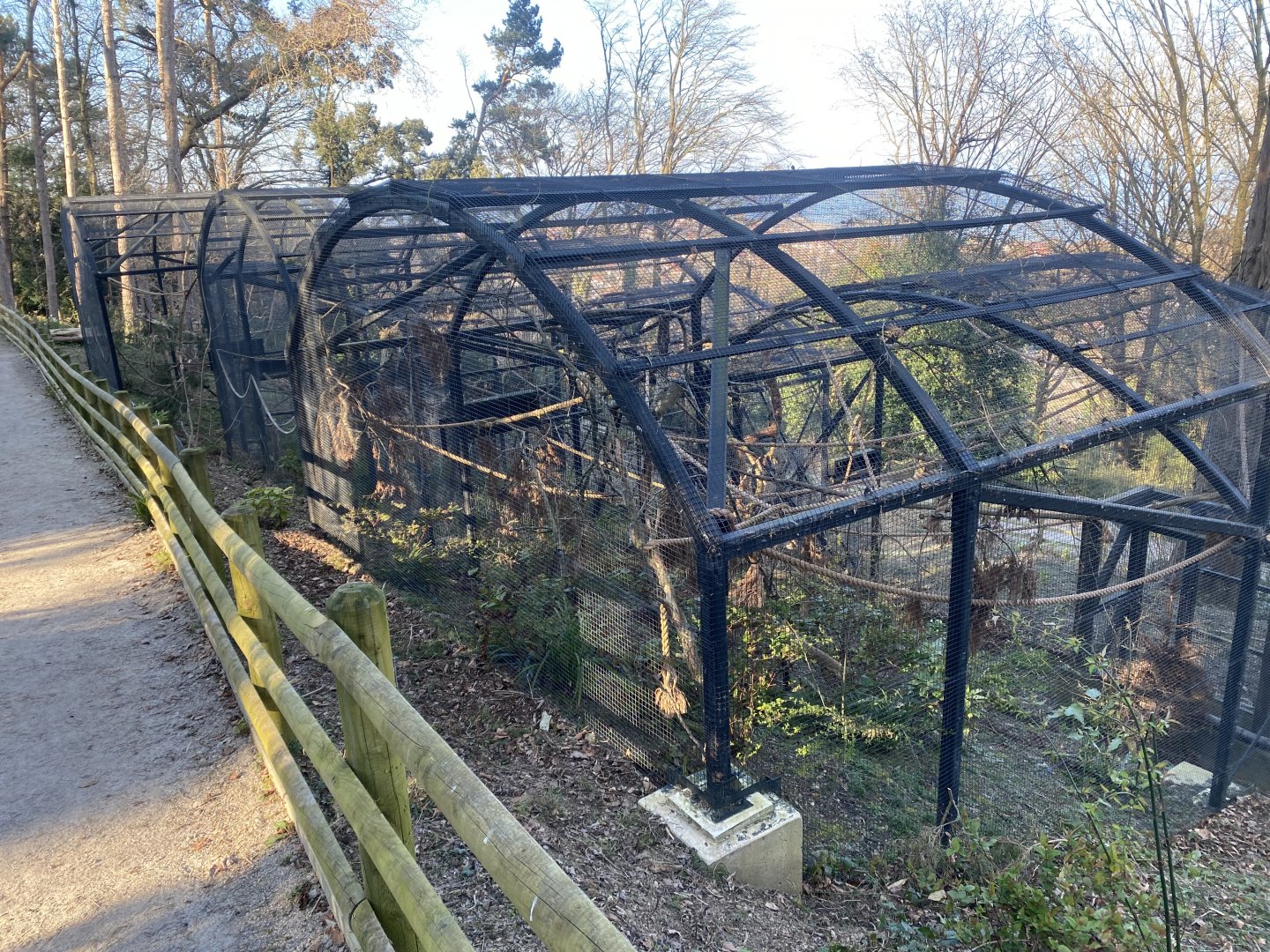 British red squirrel enclosures 190325