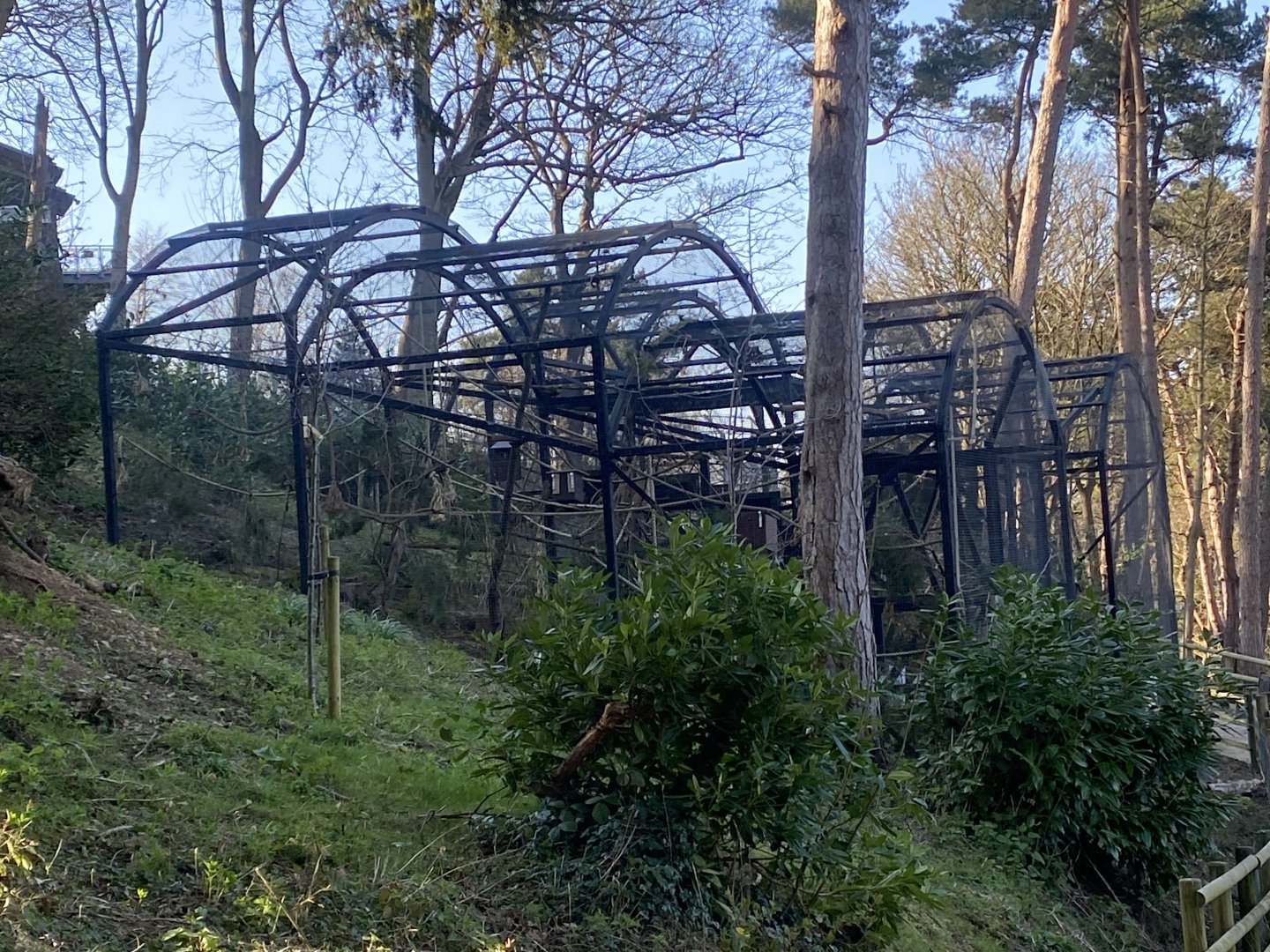 British red squirrel enclosures 190325