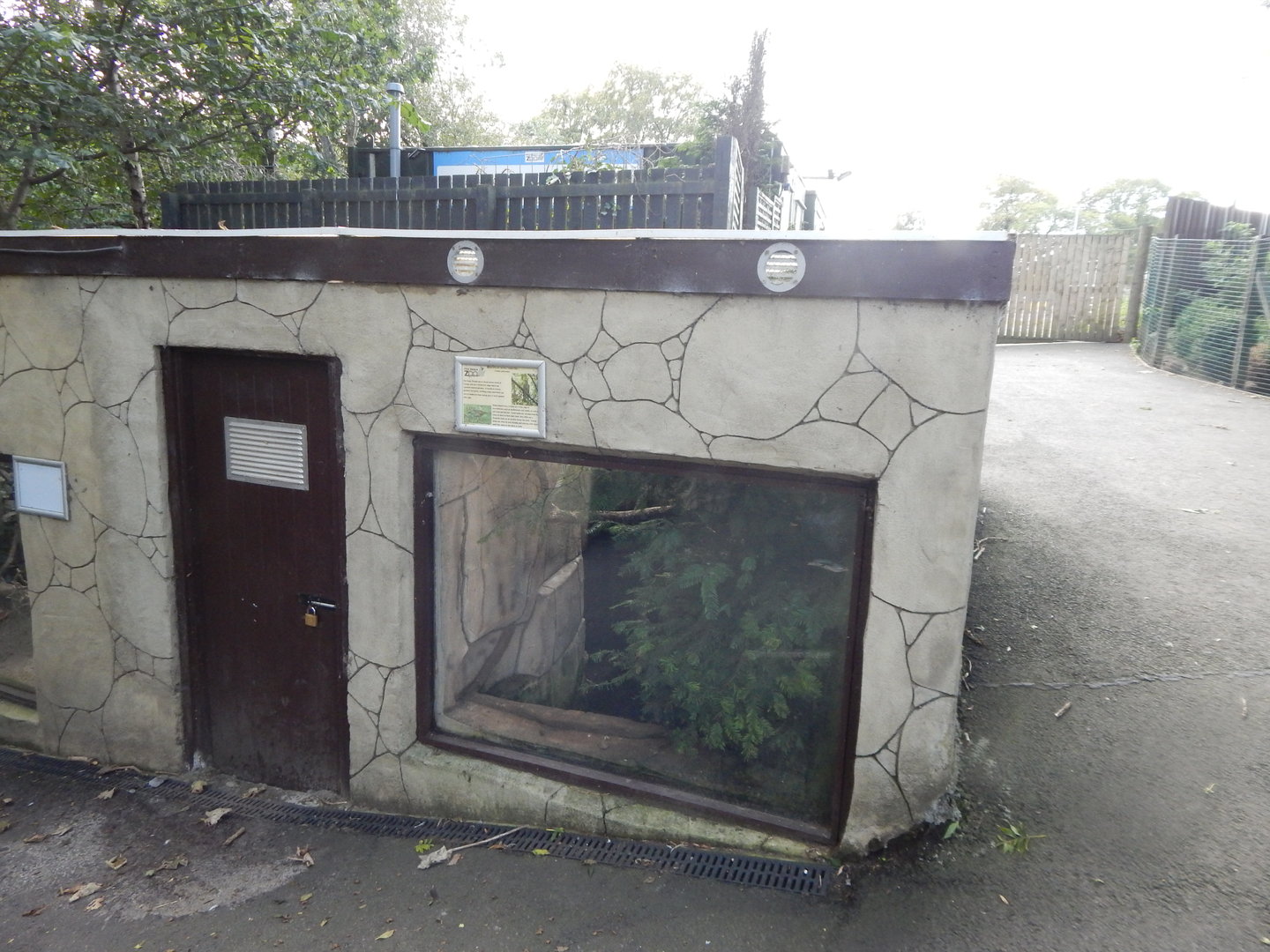 British song thrush exhibit 200922