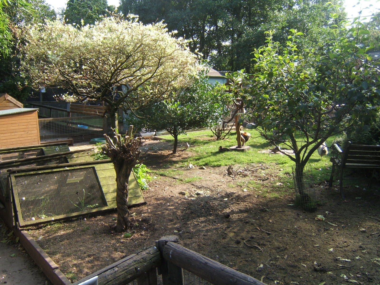 British Wildlife Rescue Centre at Amerton Farm