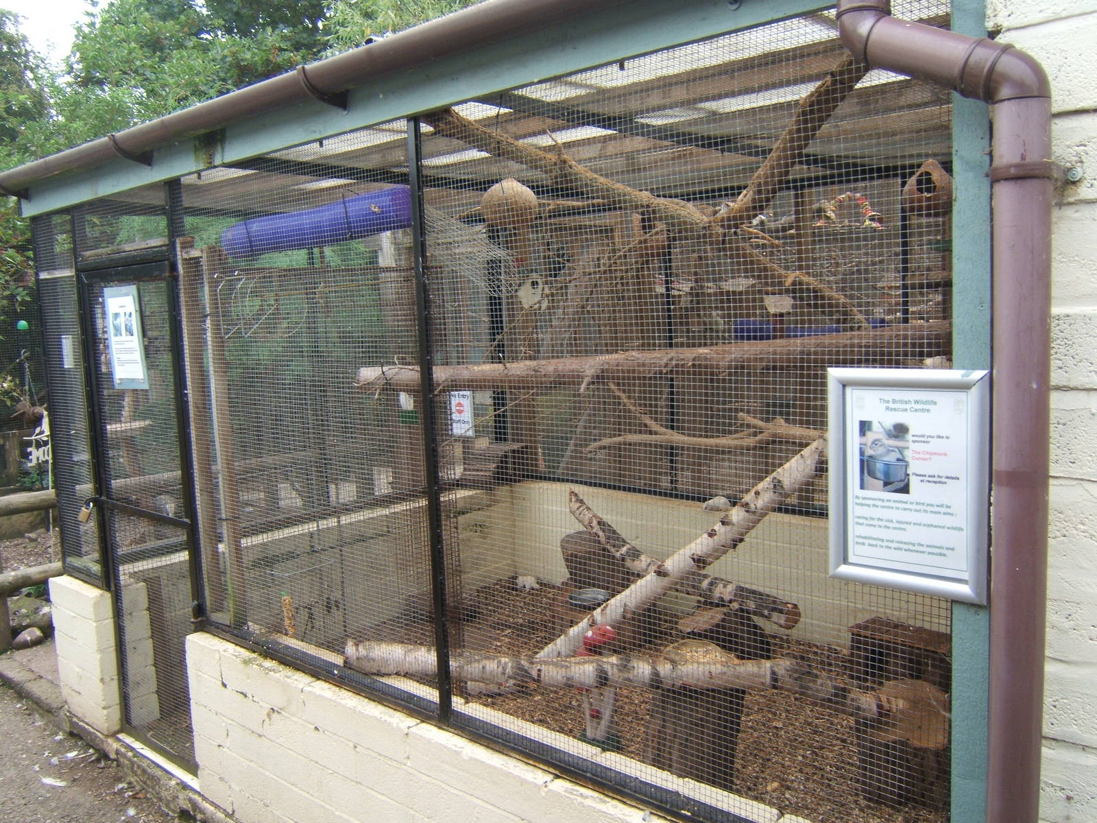 British Wildlife Rescue Centre at Amerton Farm