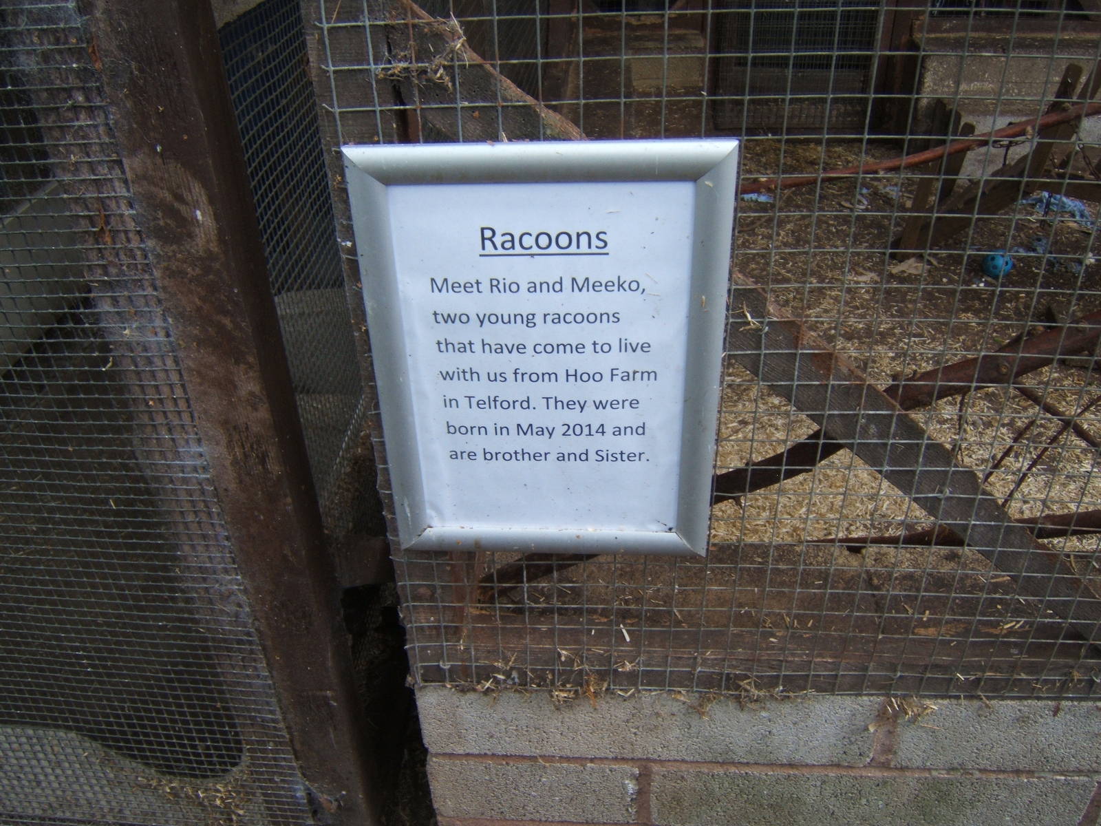 British Wildlife Rescue Centre at Amerton Farm