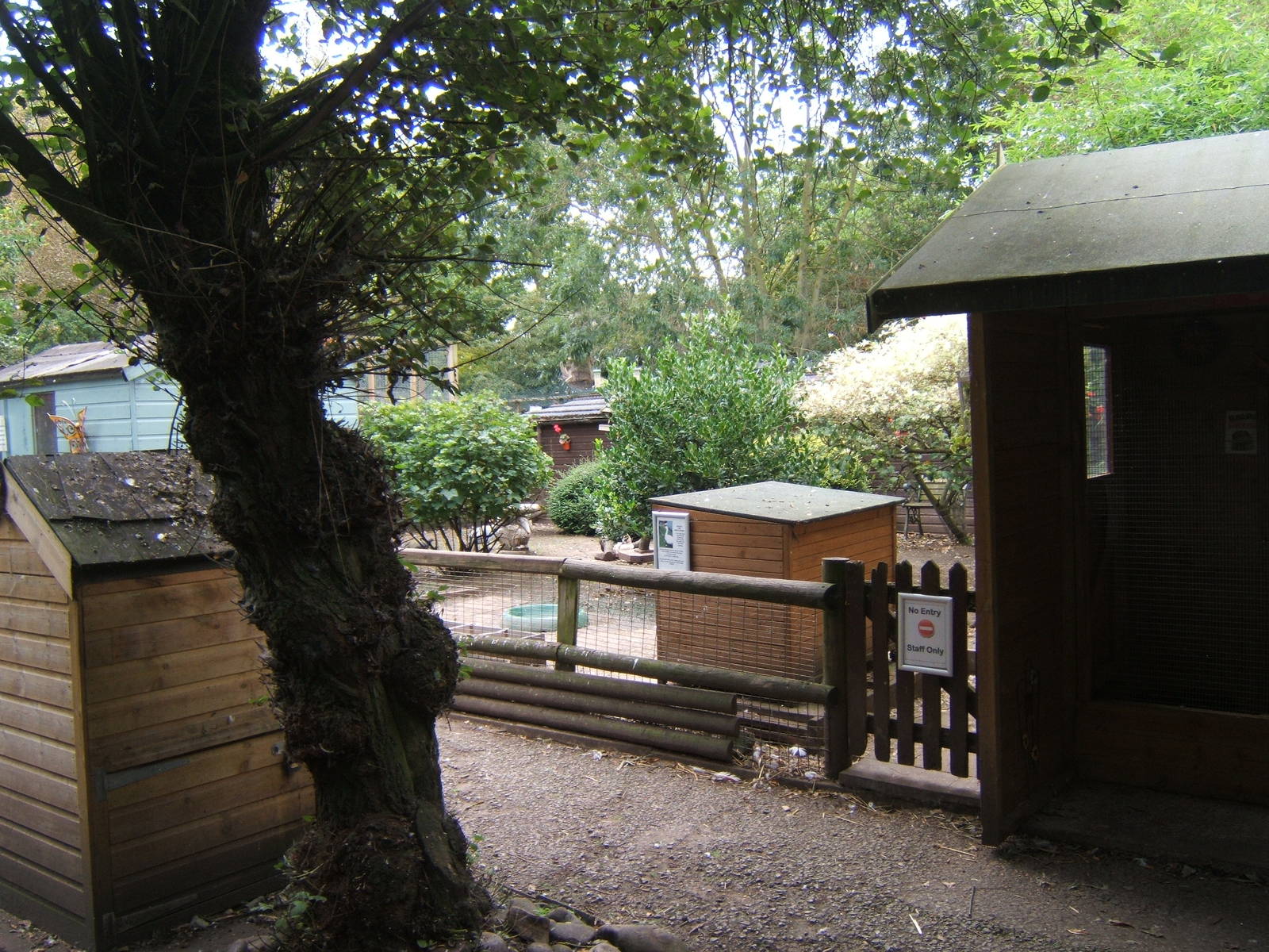 British Wildlife Rescue Centre at Amerton Farm