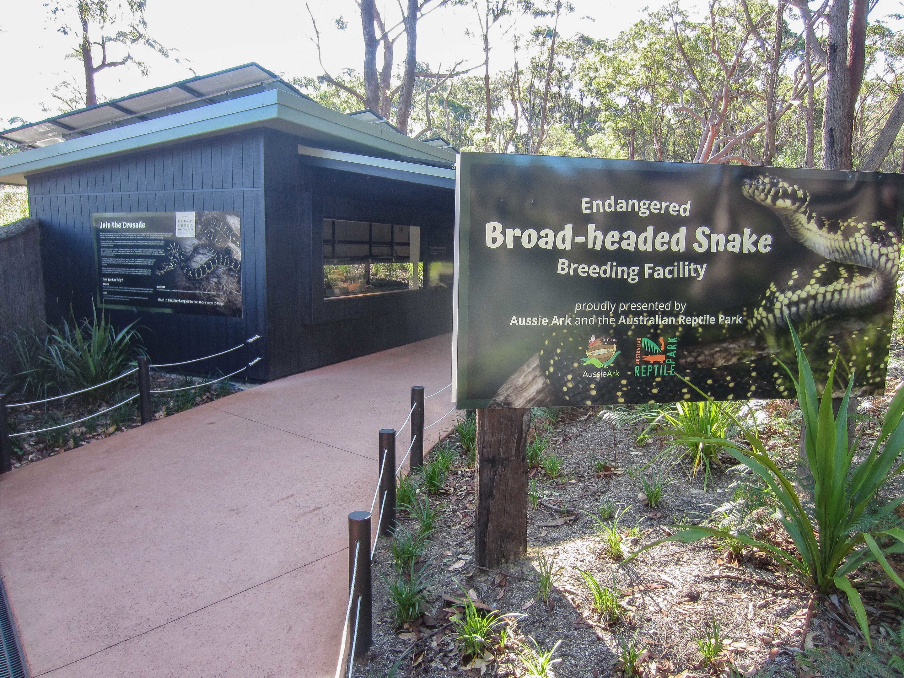 Broad-headed Snake Breeding Facility