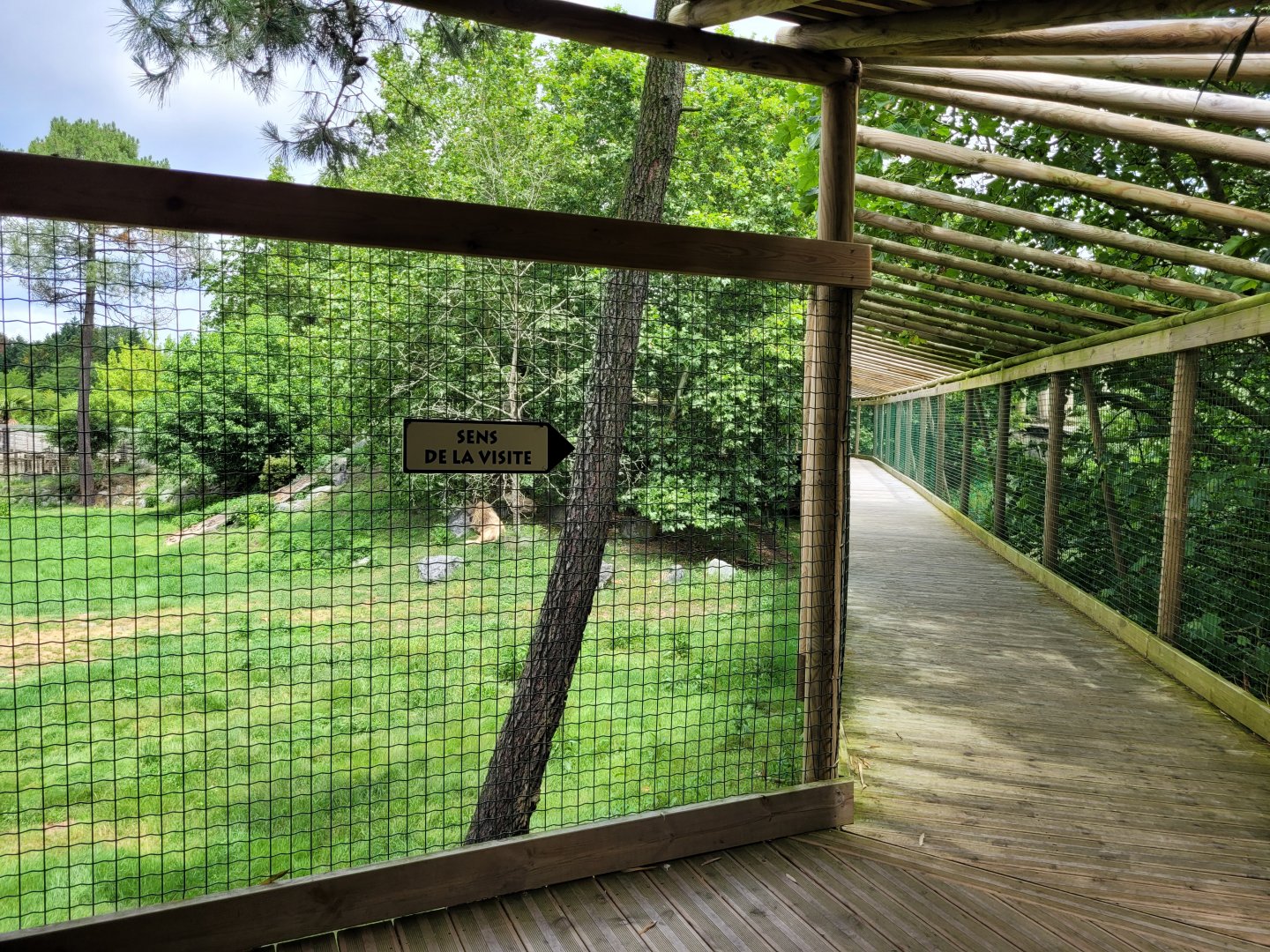 Broadwalk over white lions -Zoo du bassin d'Arcachon (2024)