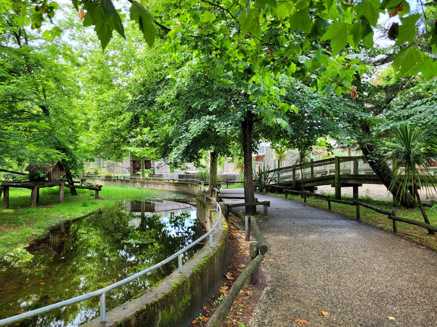 Broadwalk view from the red pandas -Zoo du bassin d'Arcachon (2024)