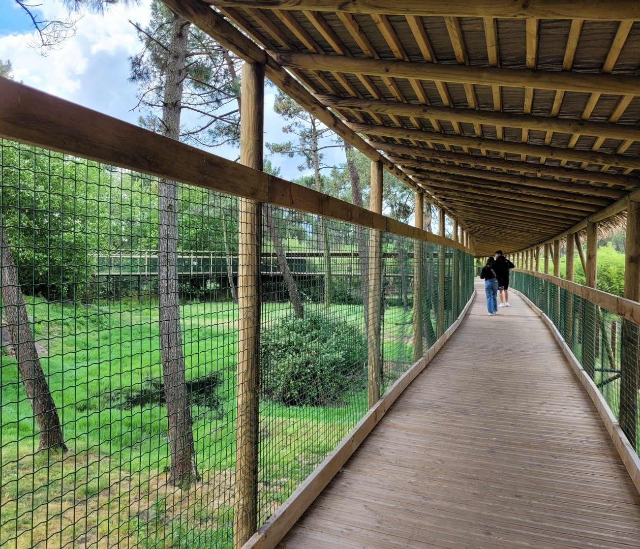 Broadwalk view -Zoo du bassin d'Arcachon (2024)