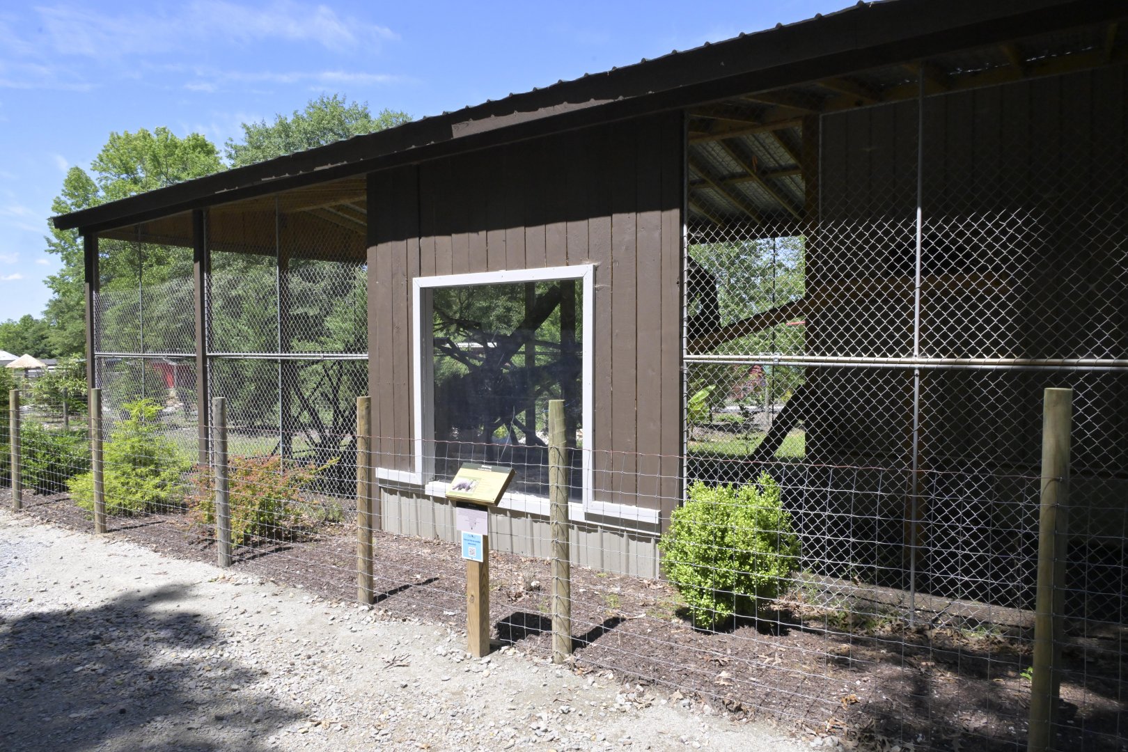 Broadway Zoological Park - Binturong (Arctictis binturong) Exhibit