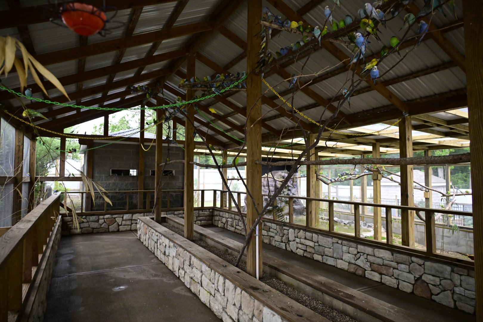 Broadway Zoological Park - Budgie Aviary