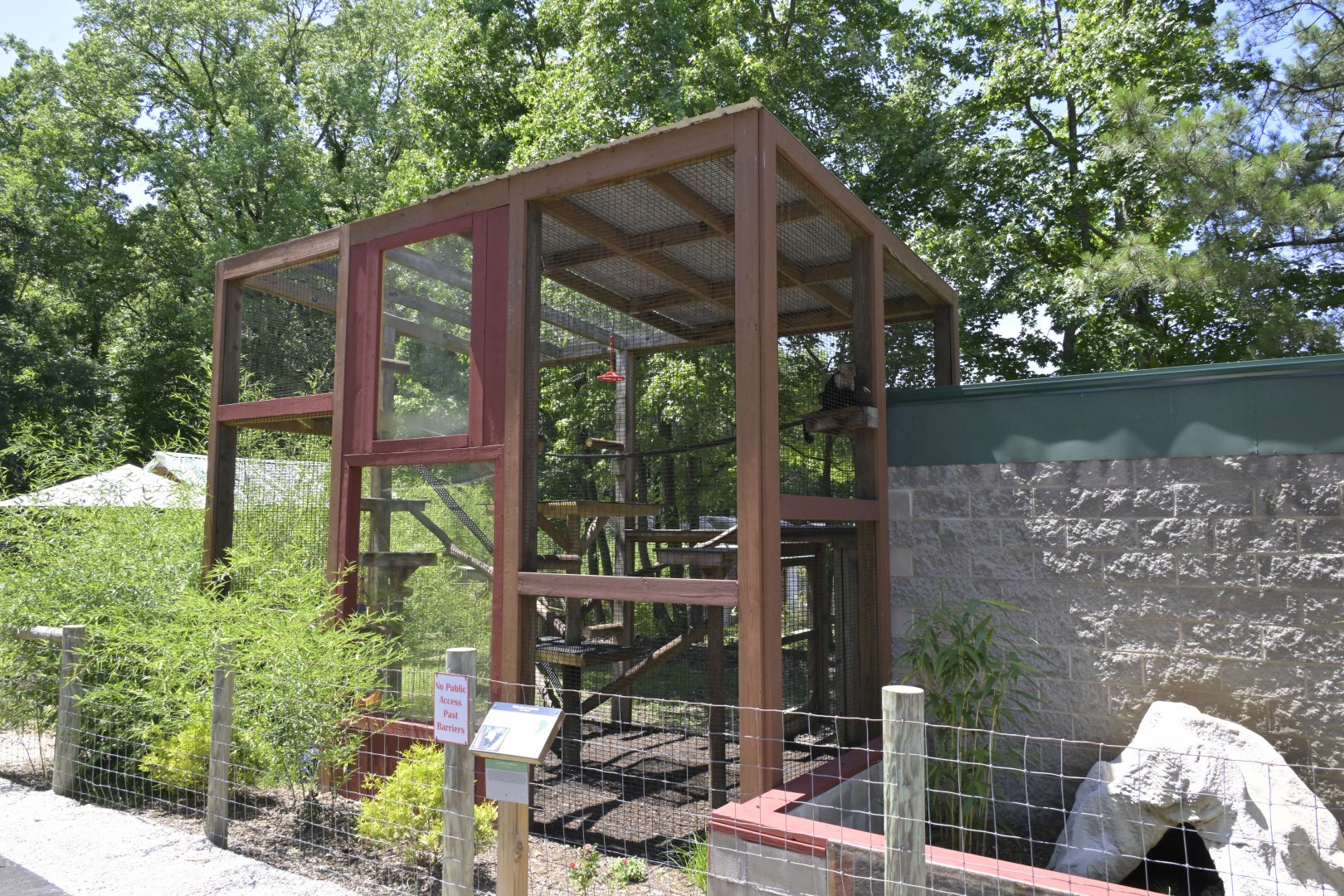 Broadway Zoological Park - Central American White-faced Capuchin (Cebus imitator) Exhibit