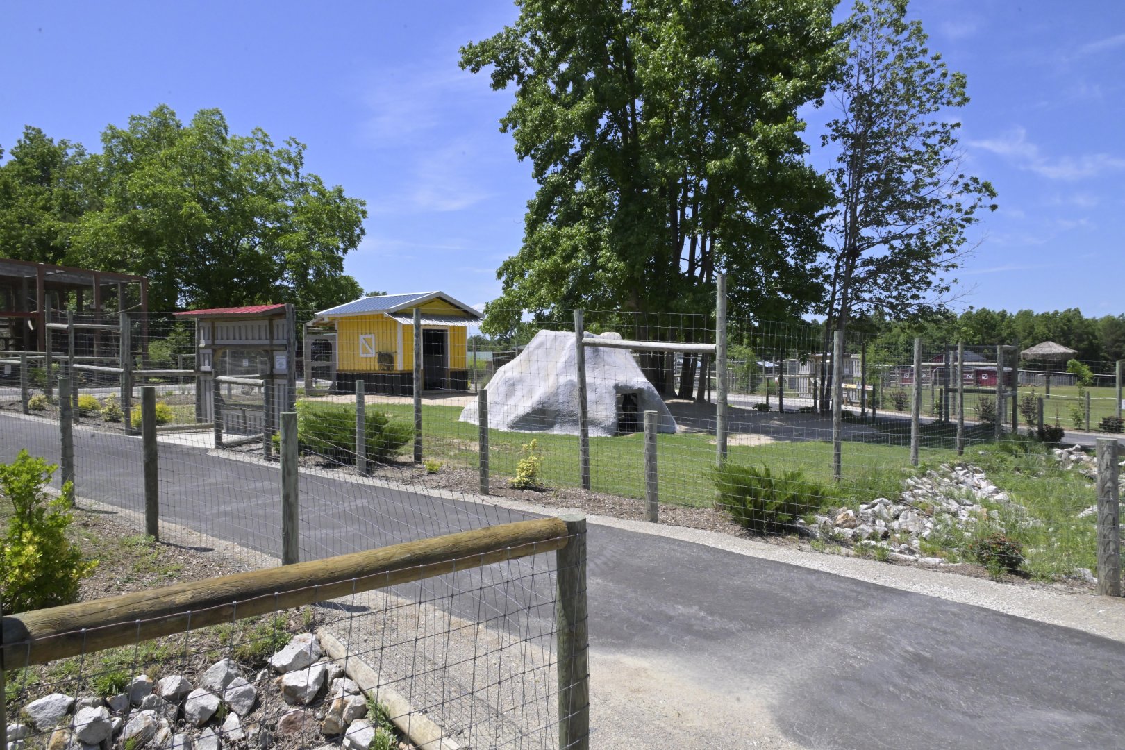Broadway Zoological Park - Goat/Ibex Hybrid (Capra spp.) Exhibit