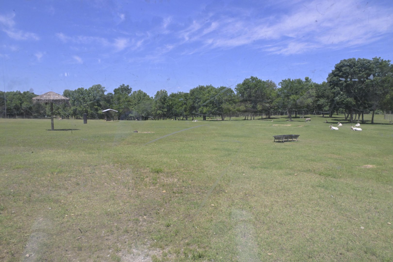 Broadway Zoological Park - Hoofstock Exhibit