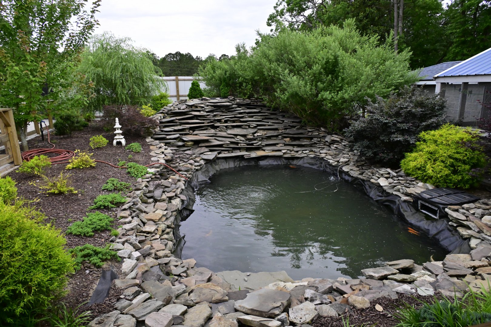 Broadway Zoological Park - Rock Pond with Koi