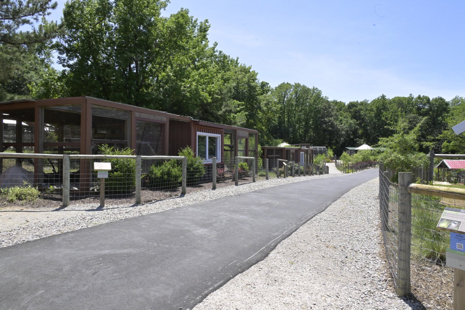 Broadway Zoological Park - Small Cat Exhibits