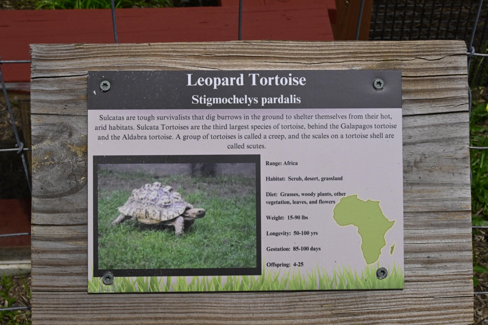 Broadway Zoological Park - Whoops