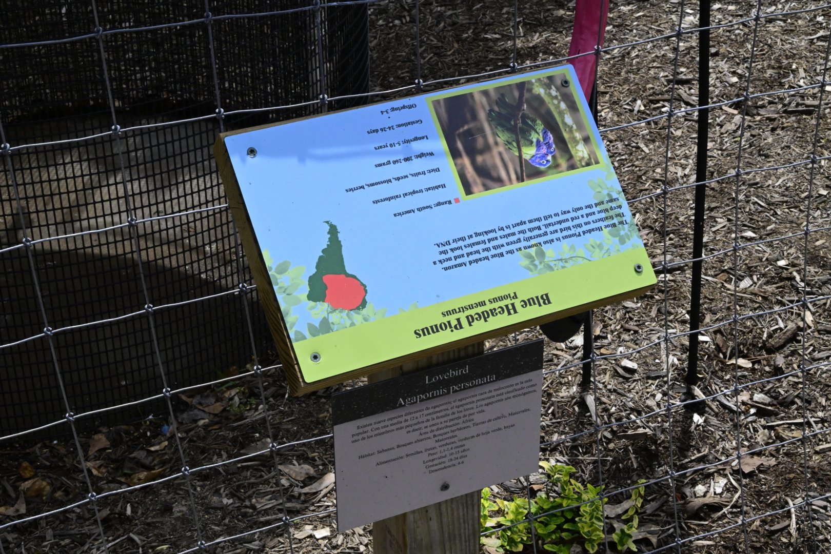 Broadway Zoological Park - Whoops