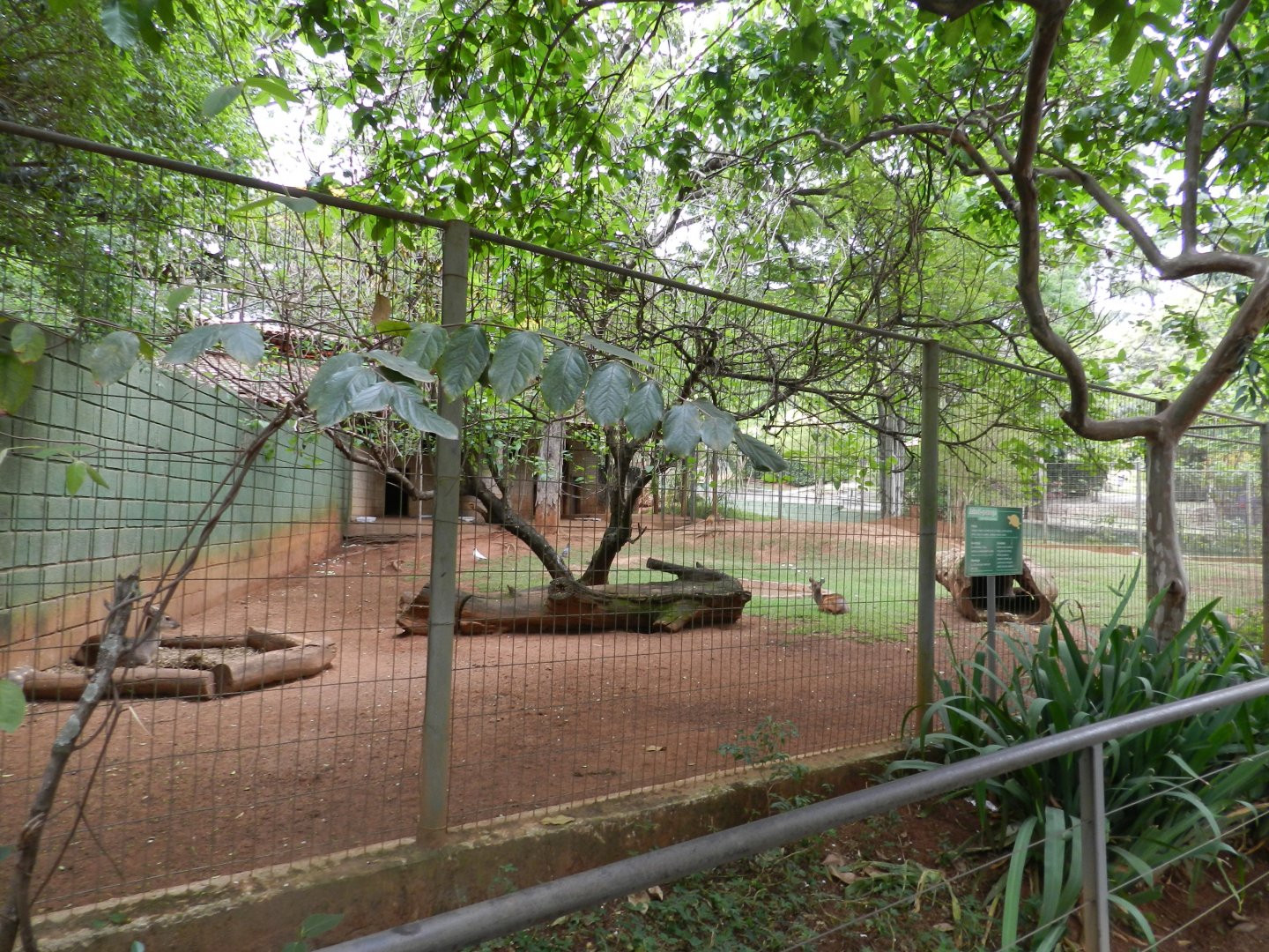 Brocket deer/agouti exhibit - Sorocaba zoo (PZMQB)