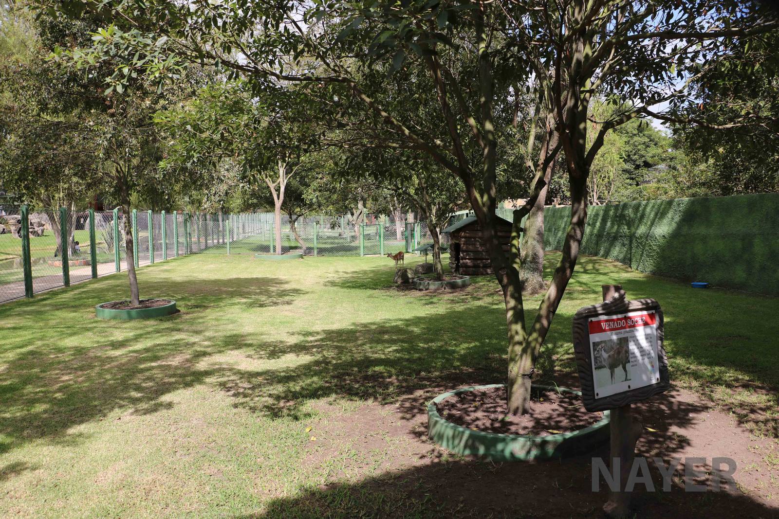 Brocket deer enclosure, March 2016