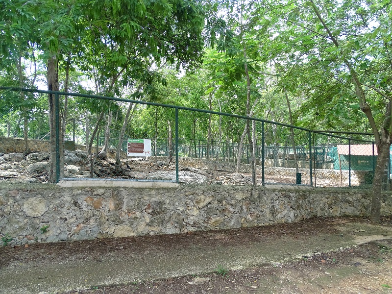 Brocket deer enclosure