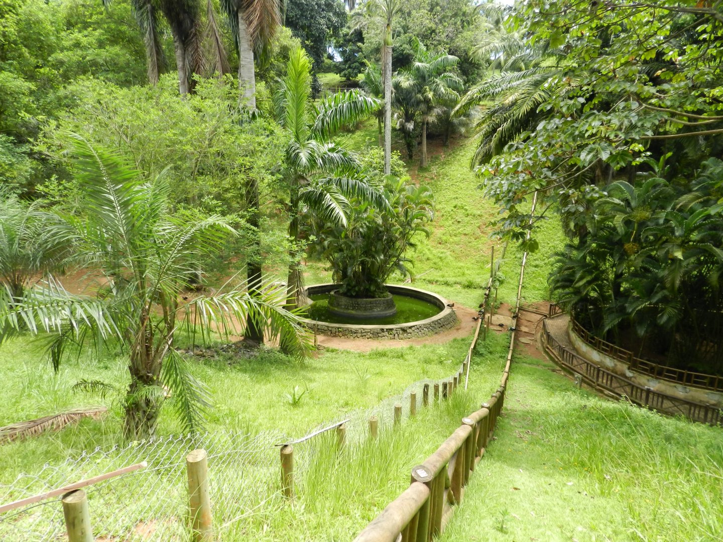 Brocket deer exhibit - Salvador zoo (PZGV)