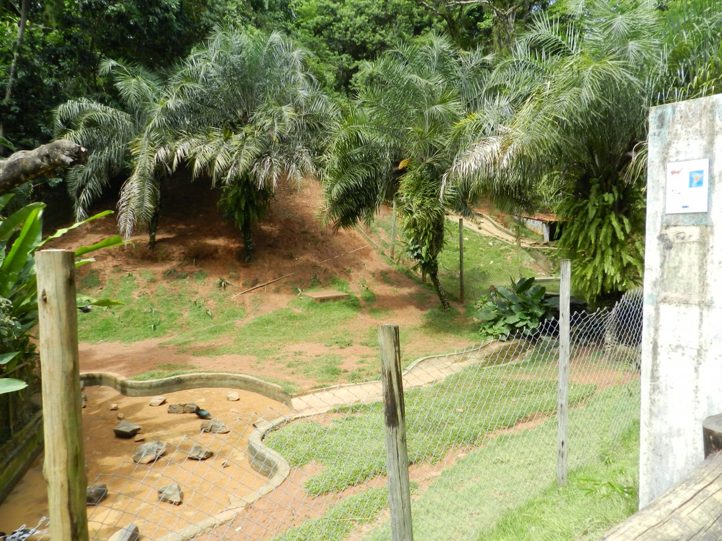 Brocket deer exhibit - Salvador zoo (PZGV)
