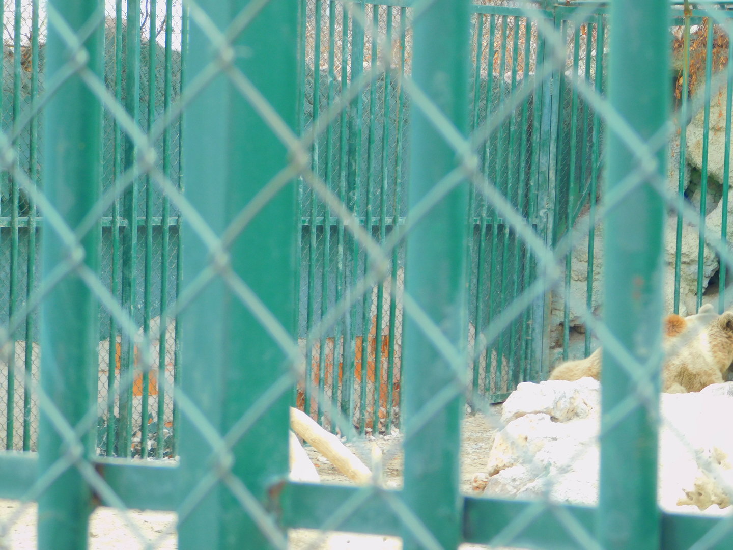 Broken down wall at the Karatay Zoo